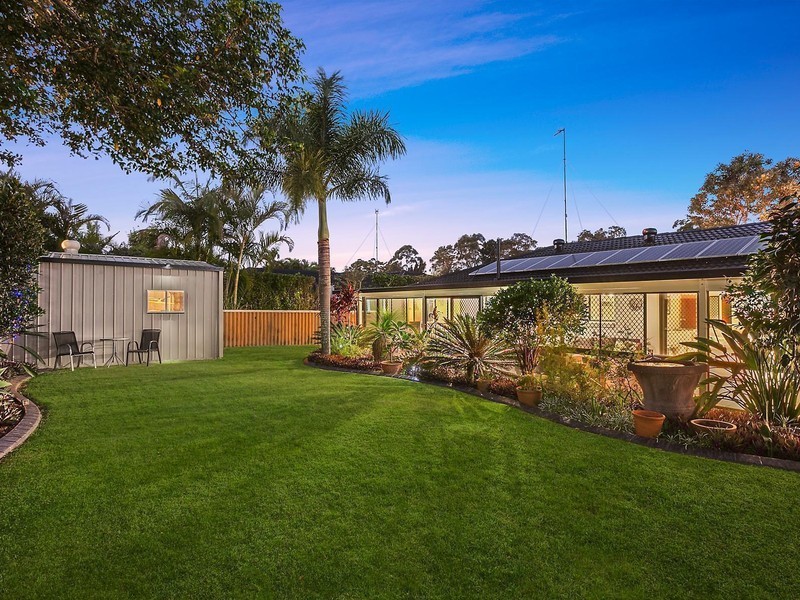 55 Japonica Drive, Palm Beach QLD 4221