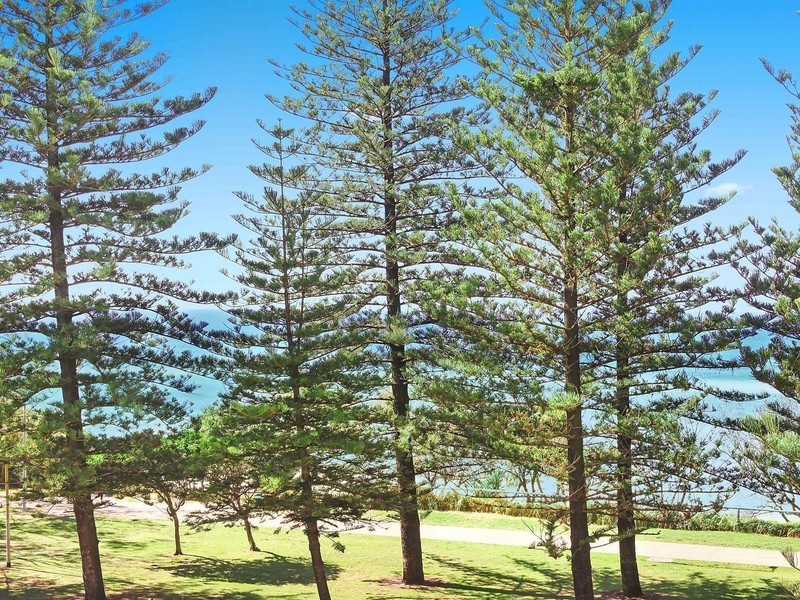 8/194 The Esplanade, Burleigh Heads QLD 4220