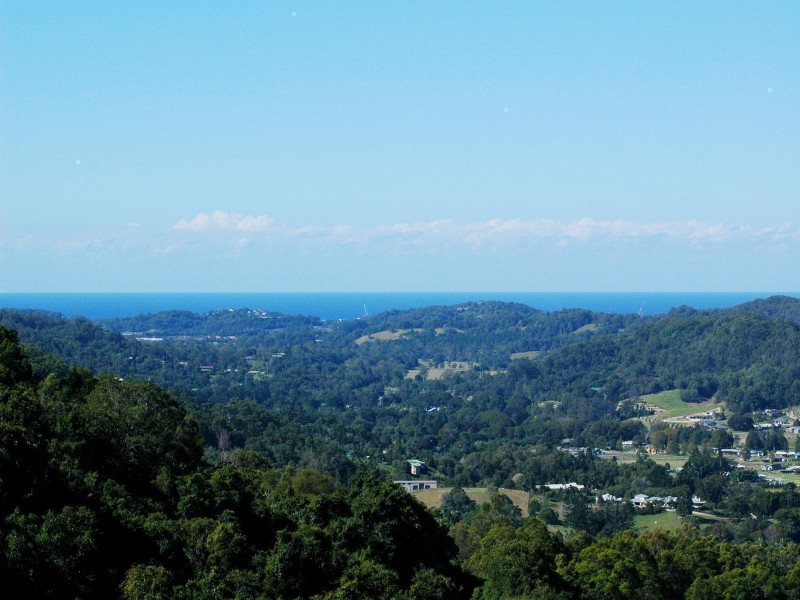 591 Trees Road, Tallebudgera QLD 4228
