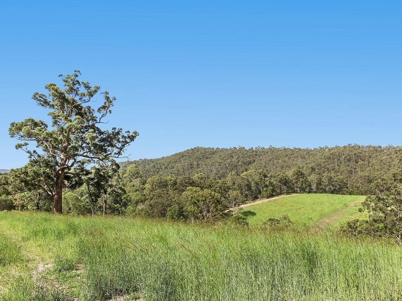 Lot 910 Blackstump Court, Gilston QLD 4211