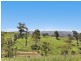 Lot 910 Blackstump Court, Gilston QLD 4211
