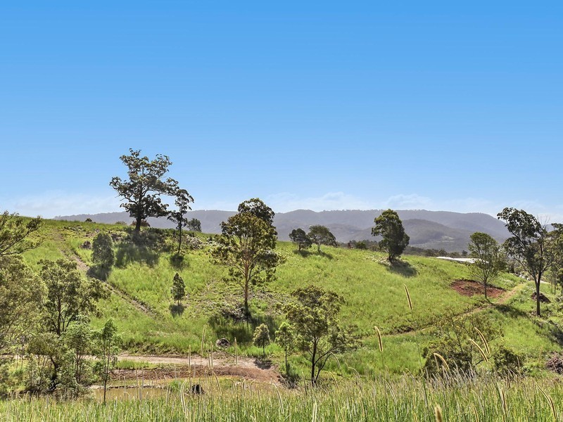 Lot 910 Blackstump Court, Gilston QLD 4211