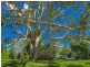 1030 ‘Rockpools Estate’ Currumbin Creek Road, Currumbin Valley QLD 4223