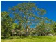 1030 ‘Rockpools Estate’ Currumbin Creek Road, Currumbin Valley QLD 4223
