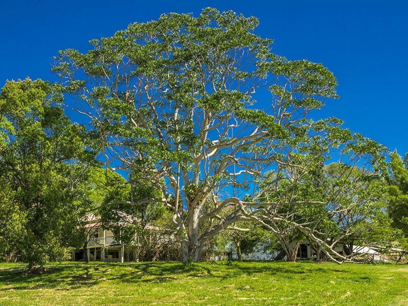 1030 ‘Rockpools Estate’ Currumbin Creek Road, Currumbin Valley QLD 4223