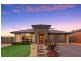 31 Paquita Street, Forde ACT 2914