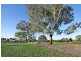 25 Eric Wright Street, Forde ACT 2914