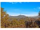 18 Cocoparra Crescent, Crace ACT 2911