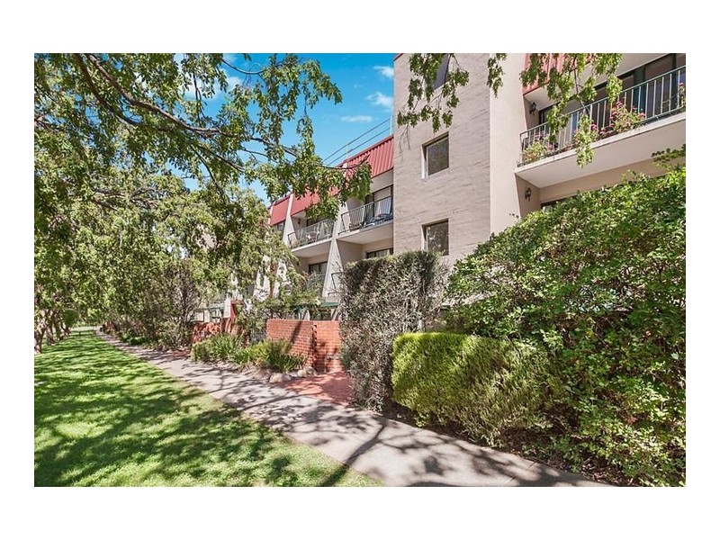 37/10 Ovens Street, Griffith ACT 2603