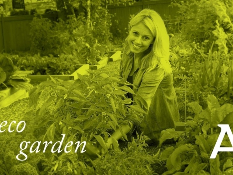 167 Mapleton Avenue, Harrison ACT 2914