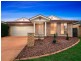 13 Cantamessa Avenue, Gungahlin ACT 2912