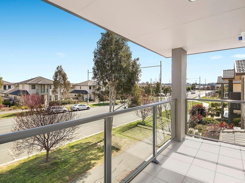 166 Hoskins Street, Franklin ACT 2913