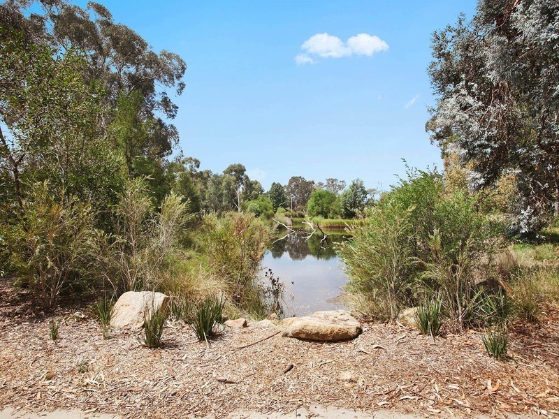 22 Sundew Crescent, O’connor ACT 2602