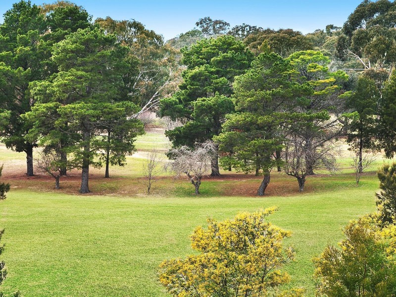 46 Alice Street, Queanbeyan NSW 2620