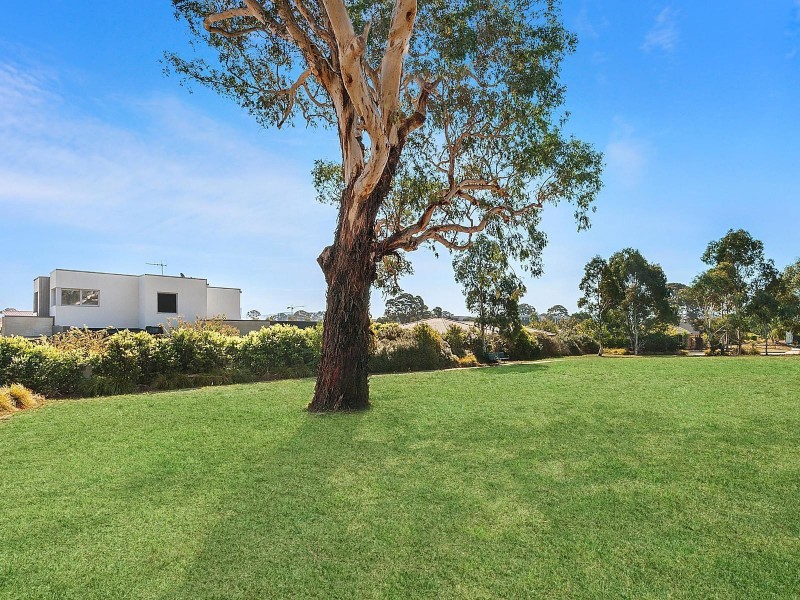 10 Liddell Street, Franklin ACT 2913