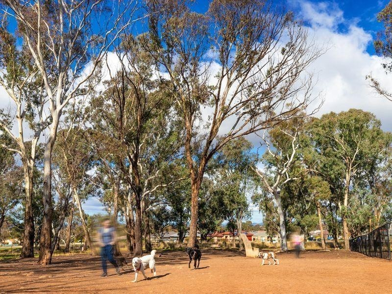 3/50 Victoria Owen Circuit, Casey ACT 2913
