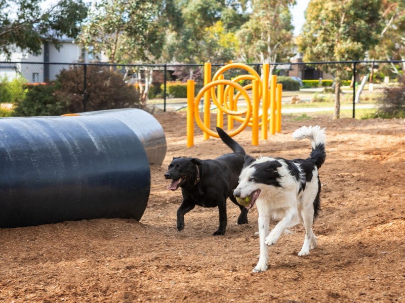 9 Jessie Street, Forde ACT 2914