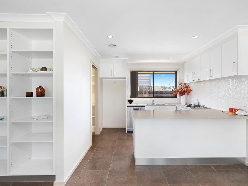 3 Ivory Street, Crace ACT 2911
