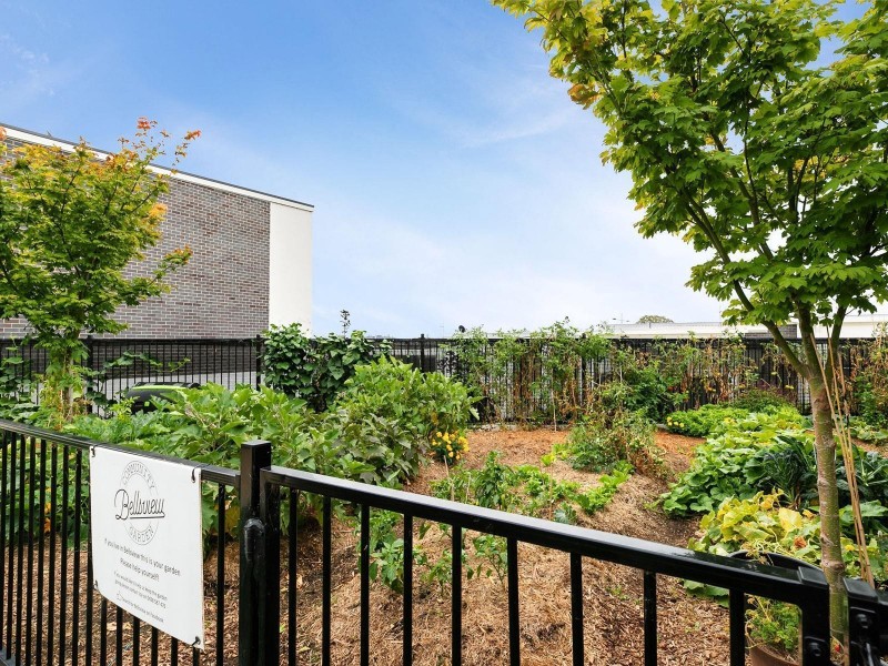 33/2 Rouseabout Street, Lawson ACT 2617