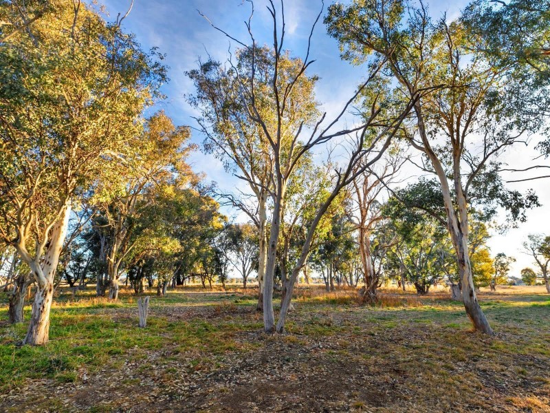 31 Little John Lane, Franklin ACT 2913