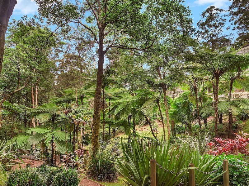 6 Adelong Place, Wahroonga NSW 2076