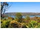 45 Woorarra Avenue, North Narrabeen NSW 2101