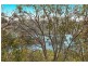 12 Cheero Point Road, Cheero Point NSW 2083