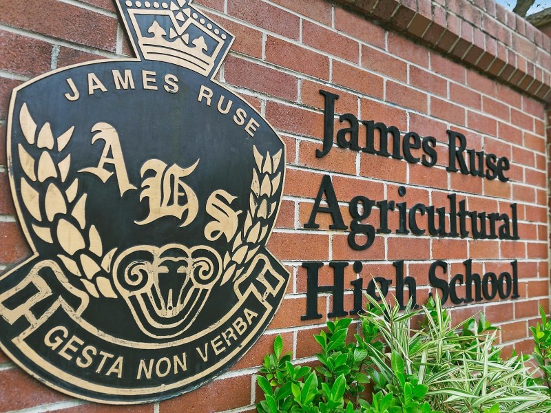 10 Kywong Street, Telopea NSW 2117