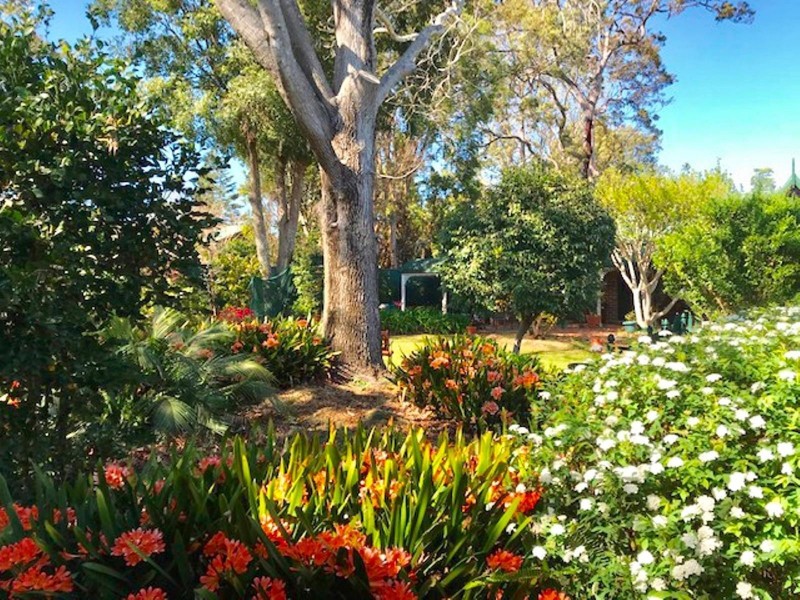 51A Dartford Road, Thornleigh NSW 2120