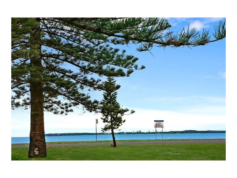 230 The Grand Parade, Monterey NSW 2217