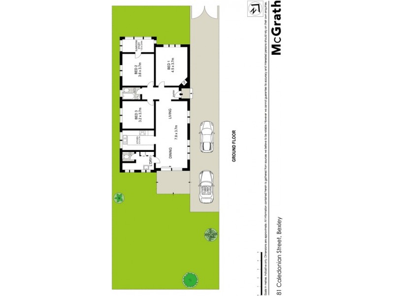 81 Caledonian Street, Bexley NSW 2207 Floorplan
