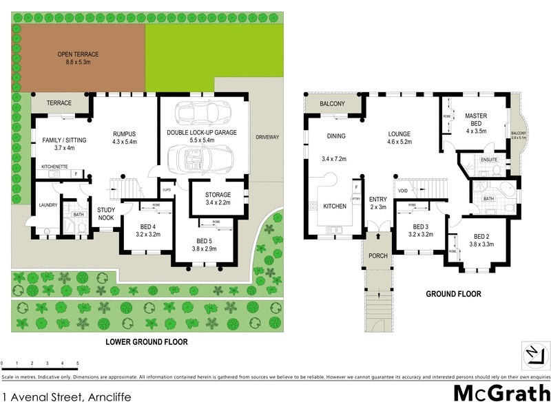 1 Avenal Street, Arncliffe NSW 2205 Floorplan