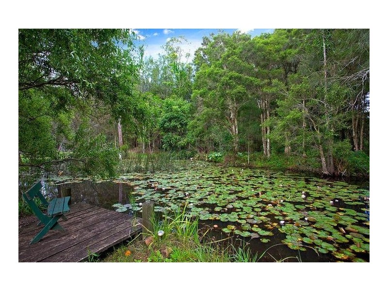 8 Barinya Lane, Springfield NSW 2250