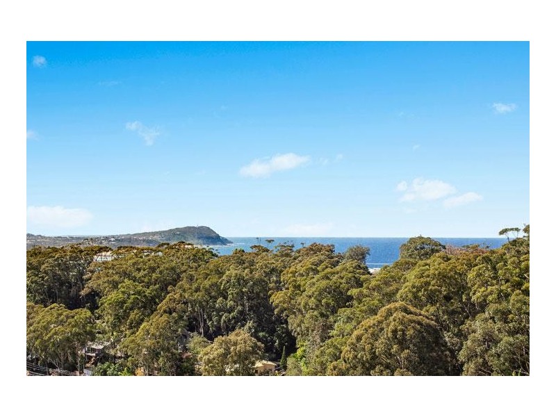 135-137 Scenic Highway, Terrigal NSW 2260