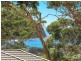 3 Kapyong Close, Macmasters Beach NSW 2251