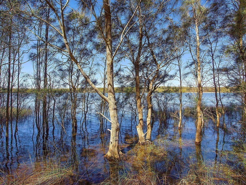 104 Blue Bell Drive, Wamberal NSW 2260