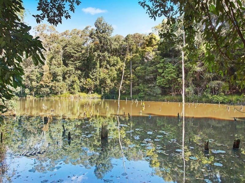 77 Gooriwa Road, Holgate NSW 2250