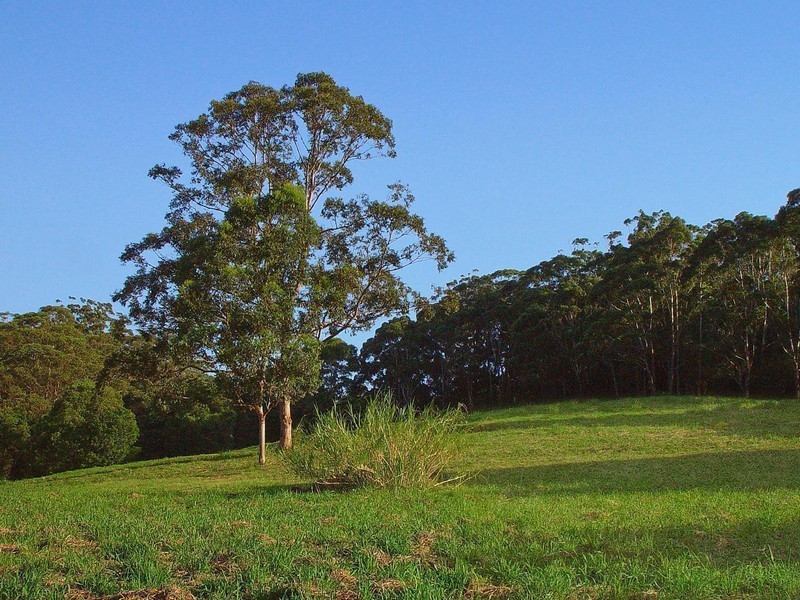 10 HILLSIDE Road, Avoca Beach NSW 2251