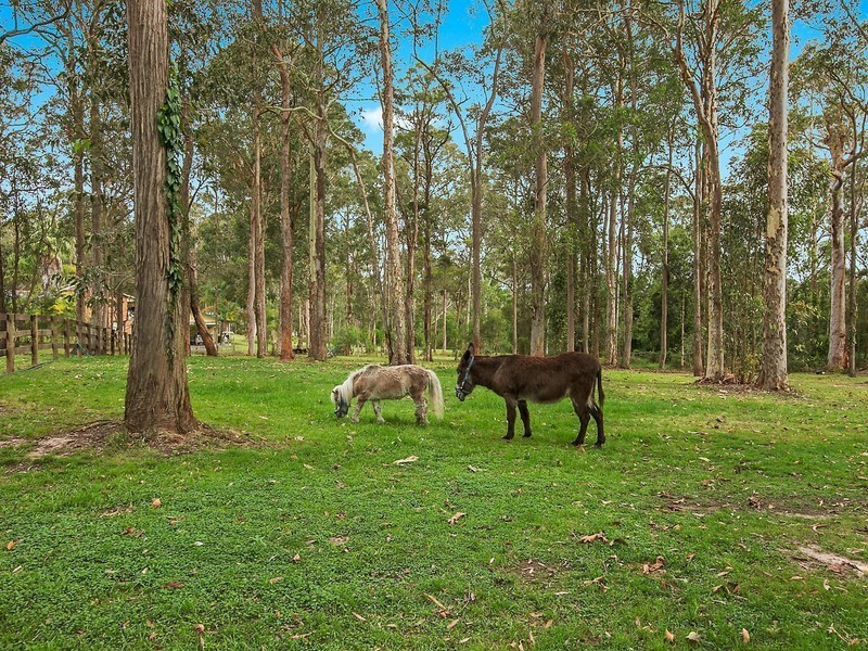 5 Tracey Lea Close, Jilliby NSW 2259