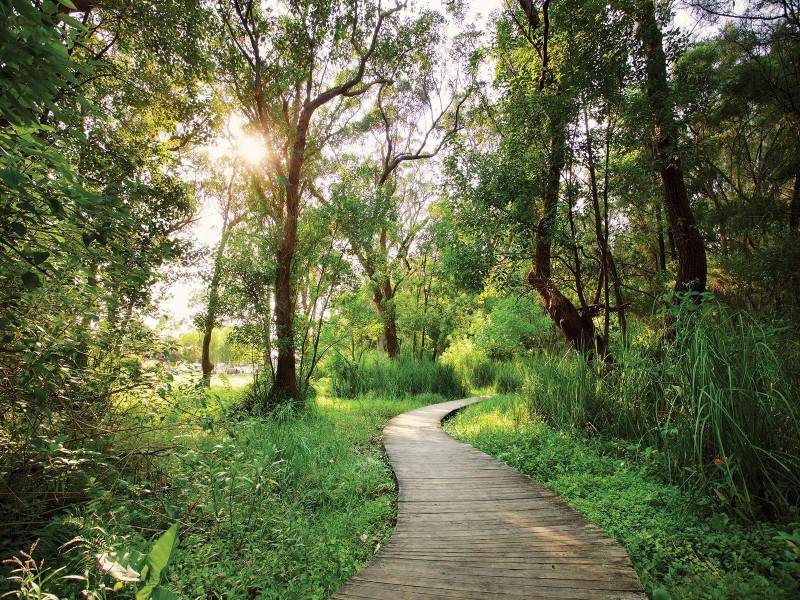 148A Albany Street, Point Frederick NSW 2250