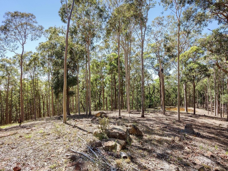 156 Dunks Lane, Jilliby NSW 2259