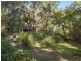 50 Tudibaring Parade, Macmasters Beach NSW 2251