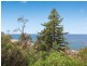 58 Kalakau Avenue, Forresters Beach NSW 2260