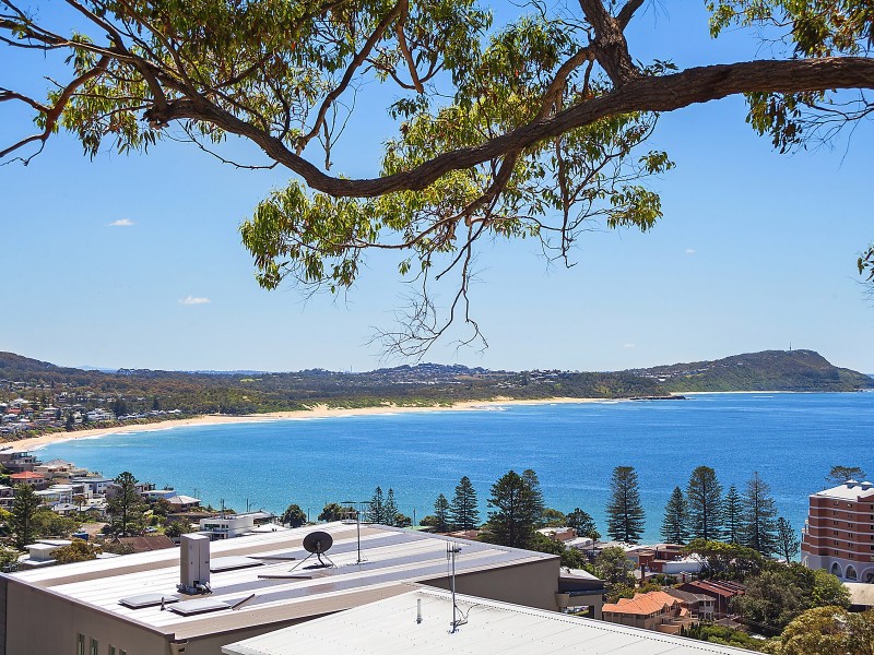 97 Scenic Highway, Terrigal NSW 2260