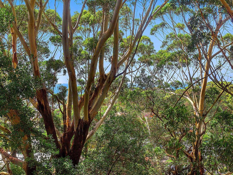 20 Cottee Crescent, Terrigal NSW 2260