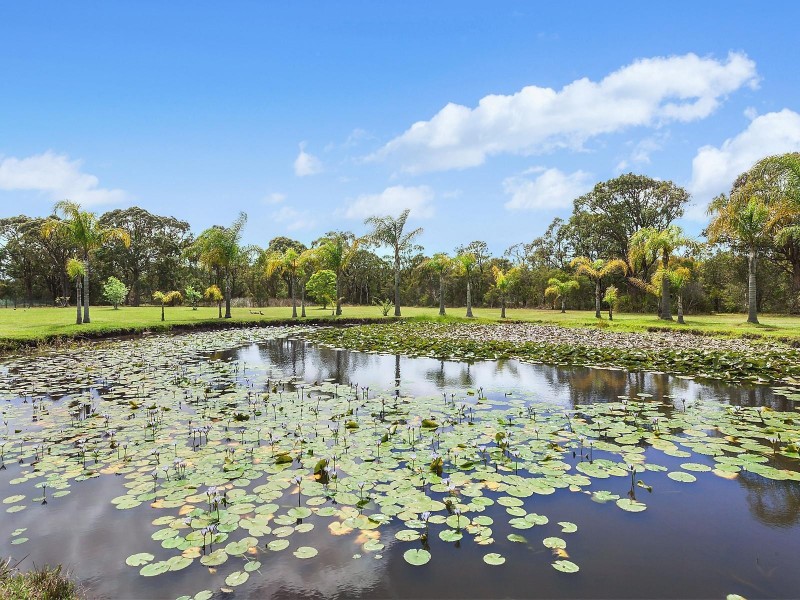 8 Hayley Close, Tumbi Umbi NSW 2261