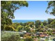 199 Scenic Highway, Terrigal NSW 2260