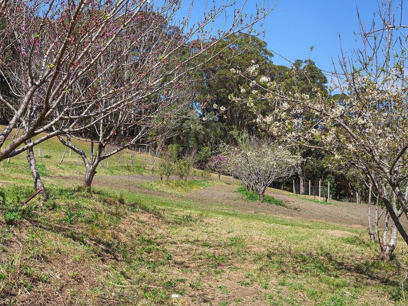 700 The Scenic Road, Macmasters Beach NSW 2251