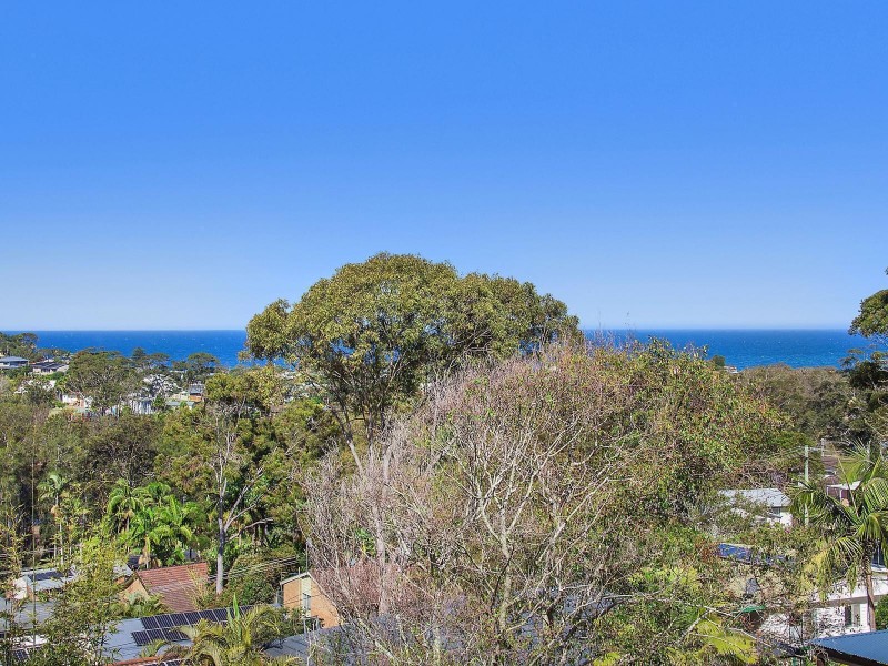 100 Bradleys Road, North Avoca NSW 2260