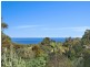 14 South Pacific Drive, Macmasters Beach NSW 2251